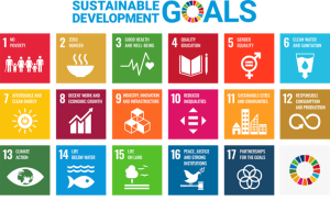 World day of social justice - sustainable development goals